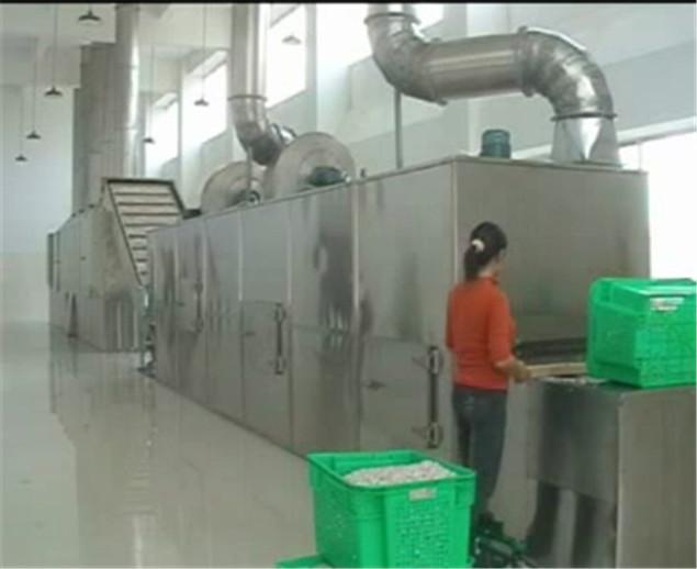 DW系列帶式干燥機